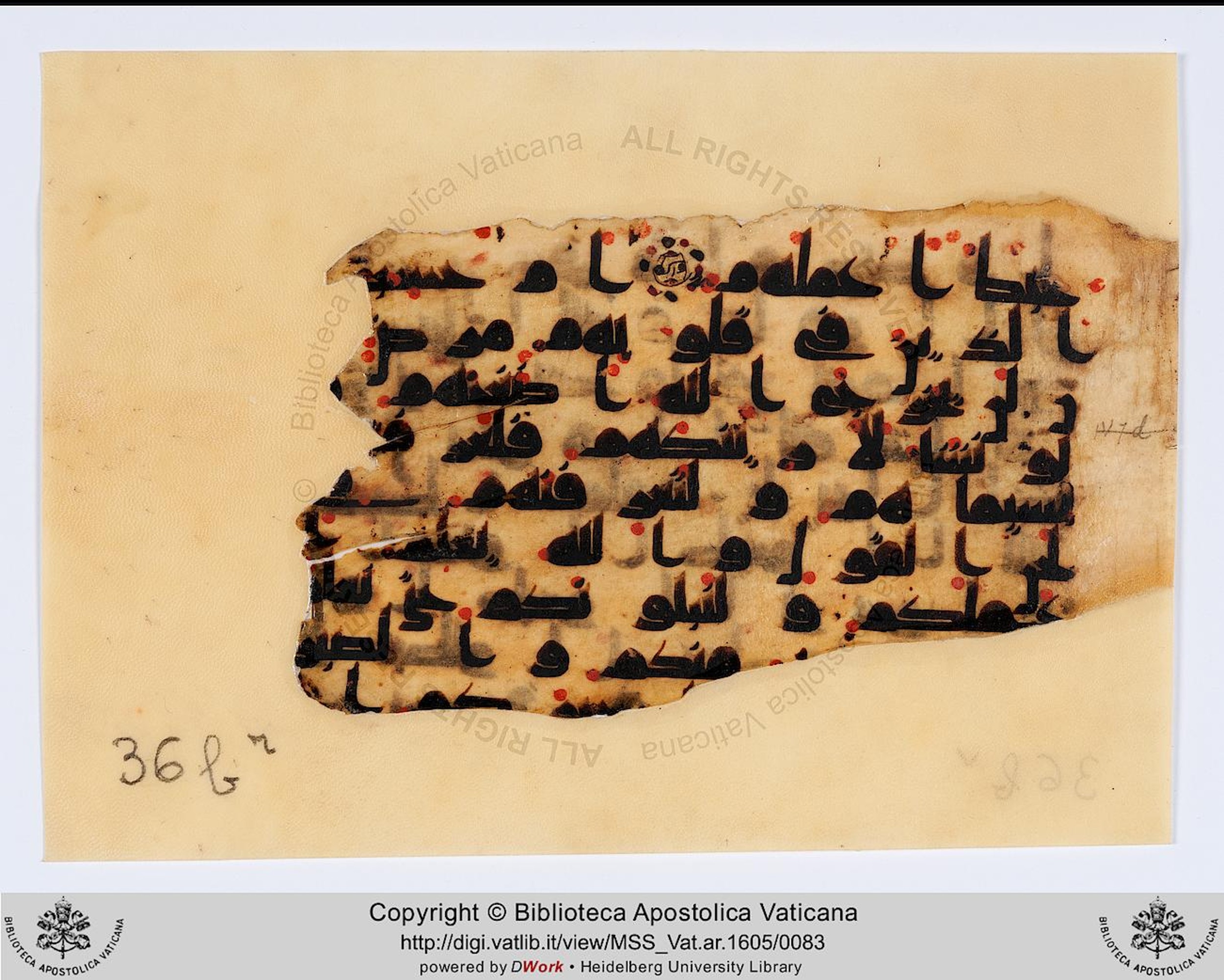 Rome, Biblioteca Apostolica Vaticana, Vat. Ar. 1605 (36) (Scan 1), in kūfī D.IV script, showing Surah 47:32 from 8th to 9th Century AD found in Fustat (Old Cairo), Egypt, currently housed at Biblioteca Apostolica Vaticana, Rome